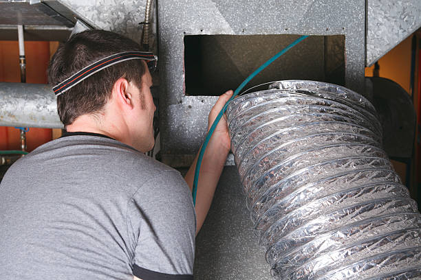 Best Professional Duct Cleaning Services  in Cayuga, IN
