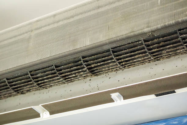 Best Residential Air Duct Cleaning  in Cayuga, IN
